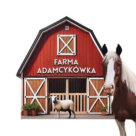 Apartamenty Adamcykowka Blisko Velo Czorsztyn! Клюшковце Екстер'єр фото