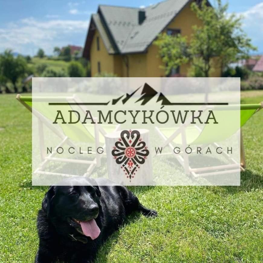 Apartamenty Adamcykowka Blisko Velo Czorsztyn! Клюшковце Екстер'єр фото