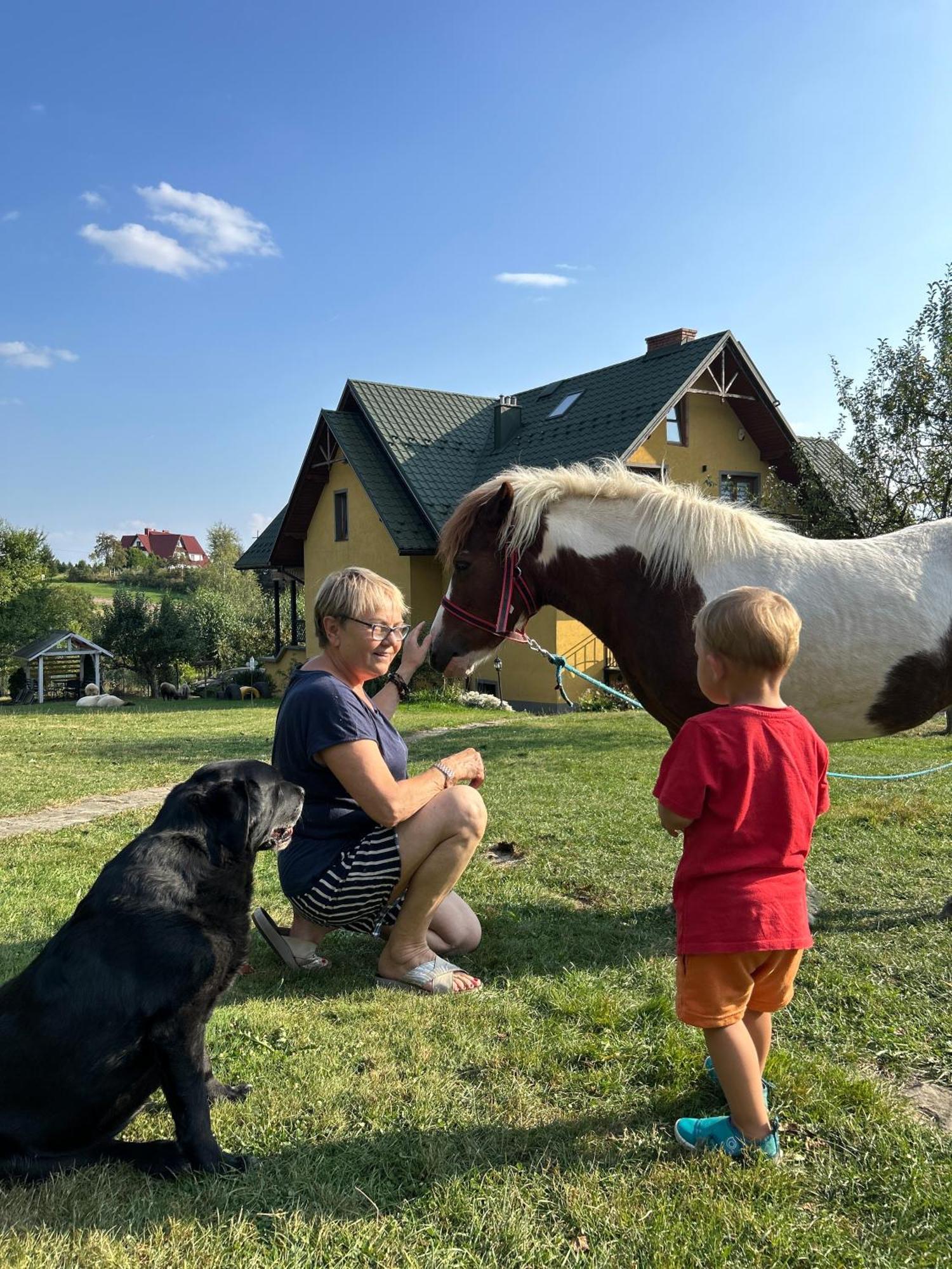 Apartamenty Adamcykowka Blisko Velo Czorsztyn! Клюшковце Екстер'єр фото