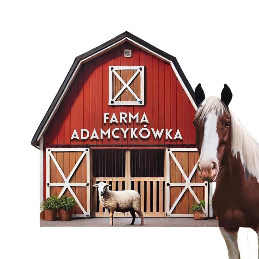 Apartamenty Adamcykowka Blisko Velo Czorsztyn! Клюшковце Екстер'єр фото